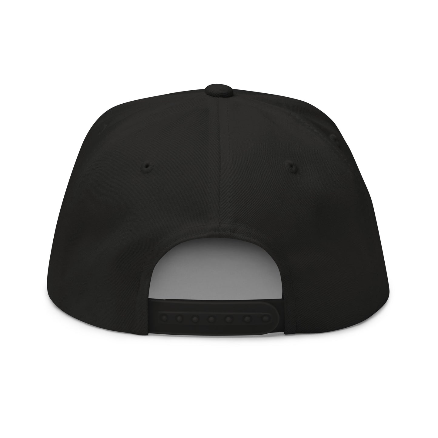 Phi Tau Retro Snapback Hat